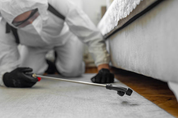 Professional Termite Control technician working in Laguna Park, TX
